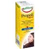 EQUILIBRA SRL Equilibra Succo Mirtillo 330 Ml
