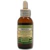 Arcangea Progea 50 Ml