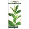 DR.GIORGINI SER-VIS SRL Te Verde Estratto Integr 200ml