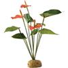 Exo Terra Cespuglio di Anthurium