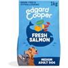 Edgard & Cooper Crochette Cani Adulti Per Cani Di Taglia Medium (1kg), Salmone Fresco, Ricetta Ipoallergenica Con Zucca, Cavolo Riccio e Patata Dolce Senza Farine Di Carne