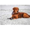 Bark Brite Tutti Gli Stivali Cane Tempo Neoprene Zampa Protettore con Straps- Riflettente (MD (3.0 in.)) Viaggiano Caso Cerniera Incluso