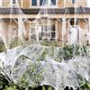 Piucrty Ragnatele Finte Decorazioni Halloween Casa Allestimento 300g Ragnatela con 50 Ragni Addobbi Cose di Decori Festoni Oggetti Halloween Party Interno Esterno Garza Bianca Ragnetti Giardino