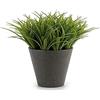 Ibergarden Pianta decorativa in plastica, 9 x 18 x 9 cm