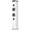 NGS ALTOPARLANTE WIRELESS, 50W, BLUETOOTH 5,4, USB AUX OTTICO RADIO FM, DISPLAY LED E CUSTODIA IN LE - SKYCHARM PRO WHITE