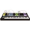 Moog MATRIARCH Sintetizzatore analogico parafonico 4Note patchable con Sequencer