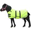 Leberna Coperta invernale per puledro e mini cavallo, 300D, traspirante, in miniatura, con fascia per il ventre (imbottitura da 150 g) (giallo fluorescente, S (60 - 90 cm)