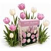 Nojaus Sėklos Nojus - City Bloom - Ivory Rose Mix di bulbi di tulipano 20 | Tulipani multicolore, bulbi primaverili, tulipani da giardino, confezione di bulbi da fiore, set di 20 bulbi