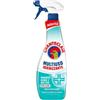 Chanteclair, Multiuso Igienizzante - formato da 625ml (Confezione da 6)