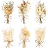 Luxvara 6 Mazzi Fiori Secchi Naturali, Piccoli Fiori Essiccati Decorativi, Mini Bouquet di Fiori Secchi Naturali per Cornici Fai Da Te, Decorazioni per Matrimoni e Feste in Casa (Stile B)