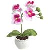Magicherry Orchidea Phalaenopsis Fatta a Mano all'Uncinetto, Rosa | Fatta a mano, Piante artificiali lavorate a maglia, Per casa, ufficio, matrimonio, Vaso squisito