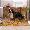 okoikfc Coperta Pile 180 x 200 cm Bovaro Bernese Coperta 3D Bovaro Bernese Coperte per Adulti/Matrimoniale, Plaid Pile in Flanella Morbida Caldo per Letto e Divano