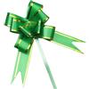 Anevous Fiocco regalo, 50 pezzi, con nastro regalo, fiocchi decorativi, per fai da te e imballaggi, per matrimoni, feste, compleanni, auto, verde