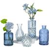 Glasseam Piccoli Vasi in Vetro per Casa: 5 Vasi Blu per Decorare la Tavola | Set di Vasi da Fiore per Piante, Ufficio, Cucina, Centrotavola per Sala da Pranzo, Bagno, Decorazioni Primaverili ed Estive