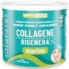 WHY NATURE COLLAGENE RIGENERA MARINO - Collagene Idrolizzato di Origine Marina - Con Vitamina C, Acido Ialuronico e Magnesio - Collagene Antiage Antietà - Gusto Fior di Vaniglia - 228 gr