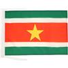 AZ FLAG Bandiera Suriname 45x30 cm Surinamese Poliestere 100D Cordini | Uso interno ed esterno bandiera decorativa doppie cuciture e bordi rinforzati
