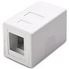 Techly Presa a muro Techly per 1 frutto Keystone Bianco [366327]