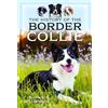 Shawn Williamson The History of the Border Collie (Copertina rigida)