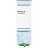 ERBA VITA GROUP SPA RHODIOLA RX SOL IAL 50ML ERBAV