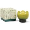 Paddywax Tulip Verbena & Lemongrass 155 g