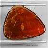 Gemsporium Ammolite Naturale Hot Red Luster Canada 9,05 Ct 16x13mm Pietra Preziosa Rara