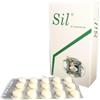 IT FARM SIL SILIMARINA+VITAMINA E 450G