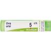 BOIRON Uva Ursina 5Ch Granuli Multidose Boiron