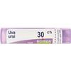 BOIRON Uva Ursina 30Ch Granuli Multidose Boiron