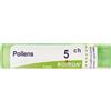BOIRON Pollens 5Ch Granuli Multidose Boiron