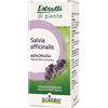 BOIRON Salvia Officinalis Estratto Idroalcolico 60ml Boiron