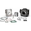 Malossi Gruppo termico ø 47 ghisa spinotto ø 10 BOOSTER BW'S SR AMICO 50 Malossi 317237