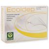 ECOL Sas ECOLDEP CPR
