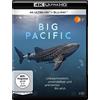 Studio Hamburg Enterprises Big Pacific (4 Episoden plus Making of) [4K Ultra-HD-Blu-ay] [Blu-ray]