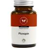 CENTO FIORI Srl PICNOPIN 60CPS VEGETALI