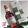 SANGALLI SRL MELISSA TINTURA MADRE 100 ML