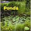 Erika L Shores Bodies of Water Ponds a 4D Book (Tascabile)