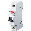 ABB S202 B13 INTERRUTTORE AUTOMATICO 6KA 2P