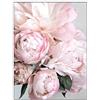 ABCWARRT Fiori di peonia Rosa Dipinti Poster Nordic Home Decor Wall Art Canvas Poster e Stampe Soggiorno Home Decor Canvas Wall Art (50 * 70cm Nessuna Cornice,2)