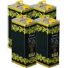 Lattine per Olio in Banda Stagnata da 5 Litri - 4