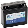 ROFIBA BATTERIE Batteria Moto Exide AGM 12-18 - 12V 18Ah | Senza Manutenzione | Tecnologia AGM
