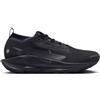 Nike Pegasus Trail 5 GTX Black/Anthracite da Uomo