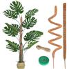 Best ZOIKOM 2 Pezzi Sostegno per Piante Rampicanti 120CM, Palo per Fibra di Cocco per Piante, Tutori per Piante, Bastone Muschiato, Sostegno per Piante Cocco per Casa Giardino