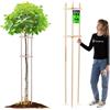 KADAX Supporto per albero da 195 cm, in legno robusto, per un fissaggio sicuro di giovani alberi e arbusti, supporto per piante in legno di faggio per giardino