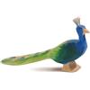 Ostheimer 11844 - Peacock