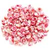 yufana 280 Pezzi Teste di Margherite Secche Rosa, Fiori Seci Naturali e Veri Sfusi, per Lavoretti in Resina, Fabbricazione di Candele e Saponi, Scrapbooking, Decorazioni Artigianali