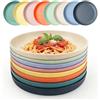 EQULIUS Set di 8 piatti in plastica riutilizzabili, da 23 cm, infrangibili, da campeggio, senza BPA, adatti al microonde e lavabili in lavastoviglie