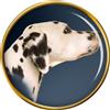 Di Dalmata Cane Distintivo di Lapel Pin