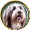 Barbuto Collie Cane Distintivo di Lapel Pin