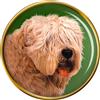 Morbido Rivestito Wheaten Cane Terrier Distintivo di Lapel Pin