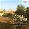 Ermanno Wolf-Ferrari Wolf-Ferrari: String Trios, Quartets & Quintet (CD) Album